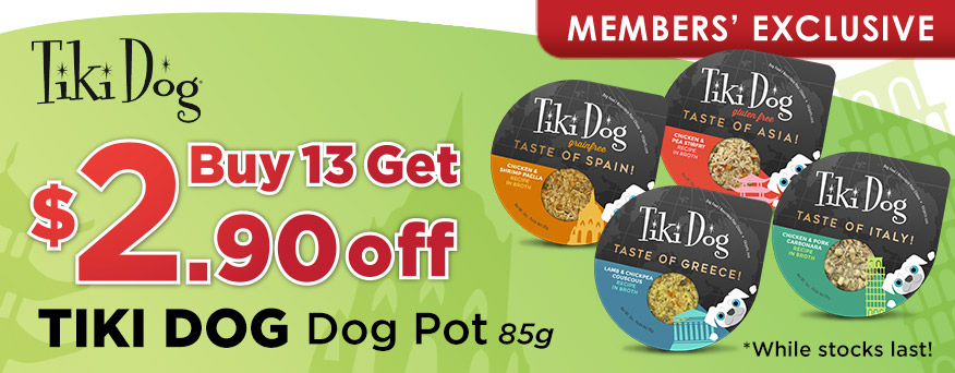 Tiki Dog Promotion